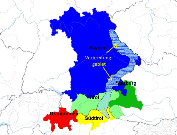 Steinpfalz Steinpfalz